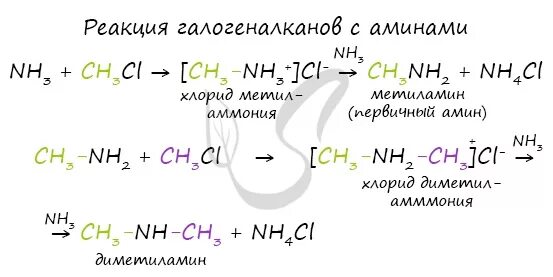 С чем реагируют амины. Взаимодействие Аминов с галогеналканами. Реакция гелогеналуан с аминами. Реакции с аммиаком. Реакция галогеналканов с аминами.