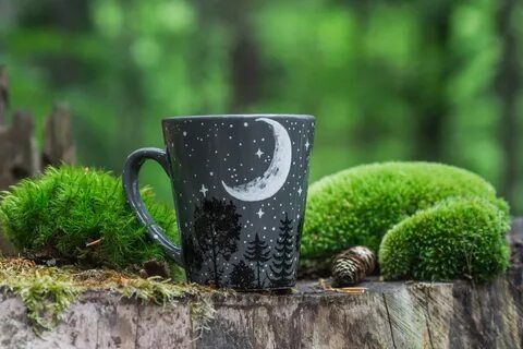 Лесные кружка