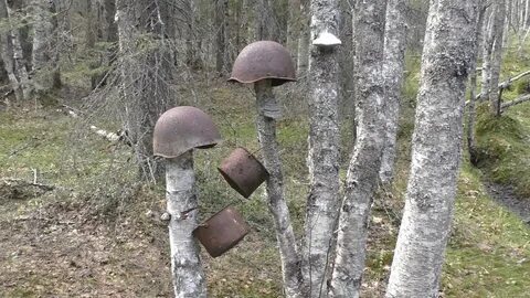 Гельмут вайссвальд