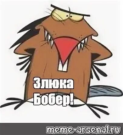 Мем бобры турбо. Злюка бобер. злой бобер. бобры мемы. злюки бобры.