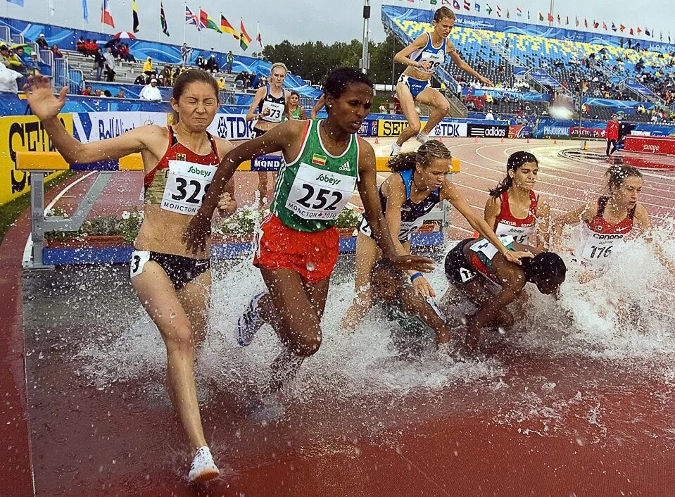 Race over. Бег с препятствиями (стипль-ЧЕЗ). Стипль-ЧЕЗ В легкой атлетике это. Стипльчез легкач атлеттка. Стипль ЧЕЗ бег.