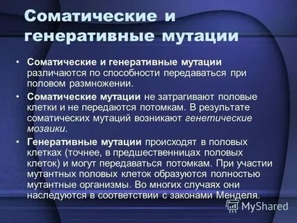 Соматические мутации возникают