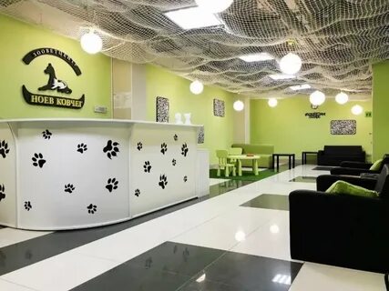 Аптека ковчег