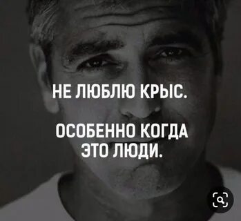 Цитаты 2024 года