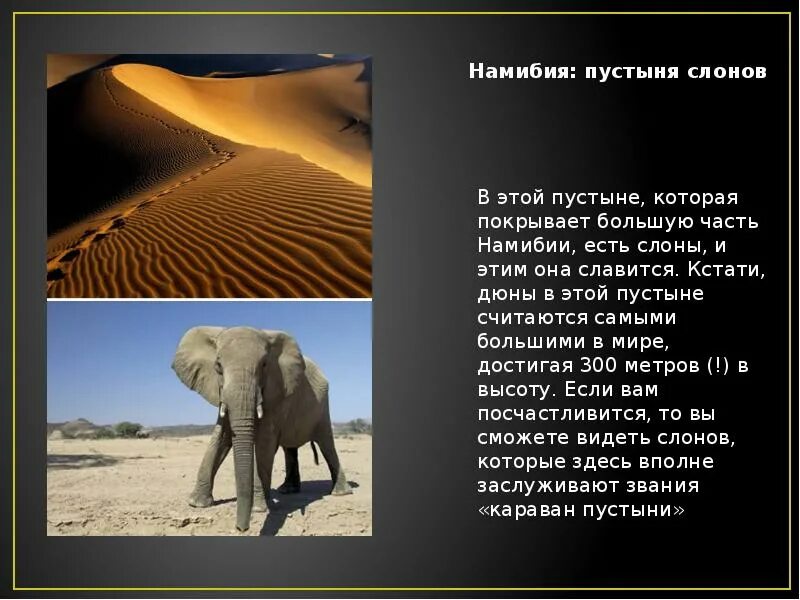 Презентация пустыня окружающий мир. Пустыни мира презентация. пустыня презентация. пустыни доклад доклад. сообщение на тему пустыня презентация.