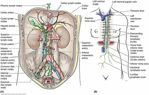 Internal node