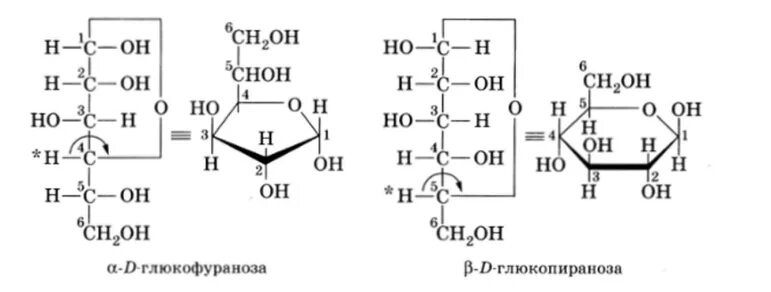 Глюкоза растворение в воде. Таутомерные формы д фруктозы. Открытые и циклические таутомерные формы моносахаридов. Таутомерные формы моносахаридов. Таутомерные формы Глюкозы и фруктозы.