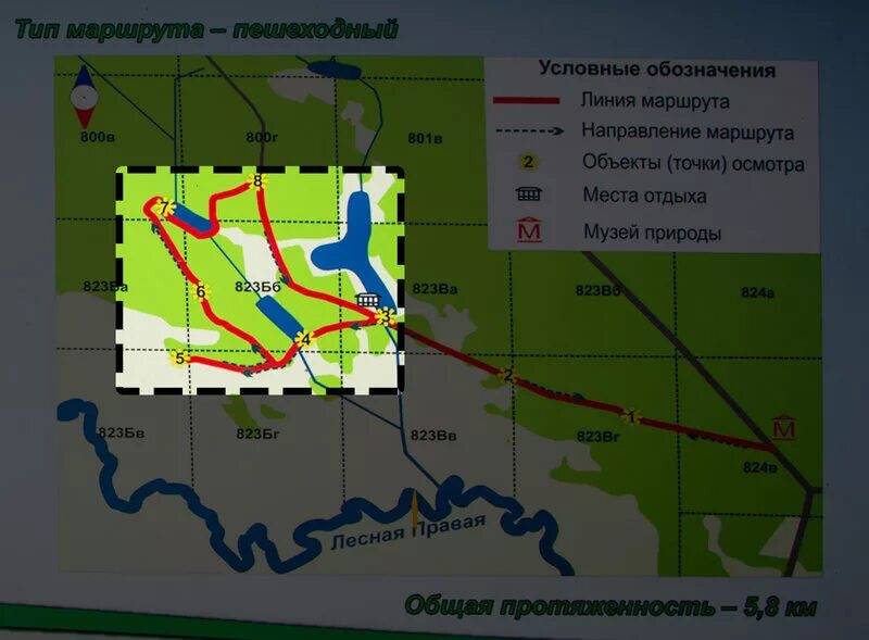 Брест беловежская пуща расстояние. Брест беловежская пуща расстояние