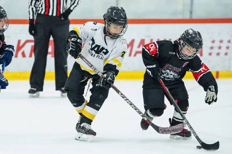 хк золотая шайба. хоккей 2011 год. турнир хоккей 2011 год. федерация хоккея республики татарстан. кристалл хоккей 2011.