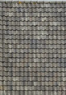 Roofing texture