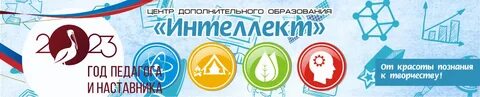 Программа дополнительного образования интеллект