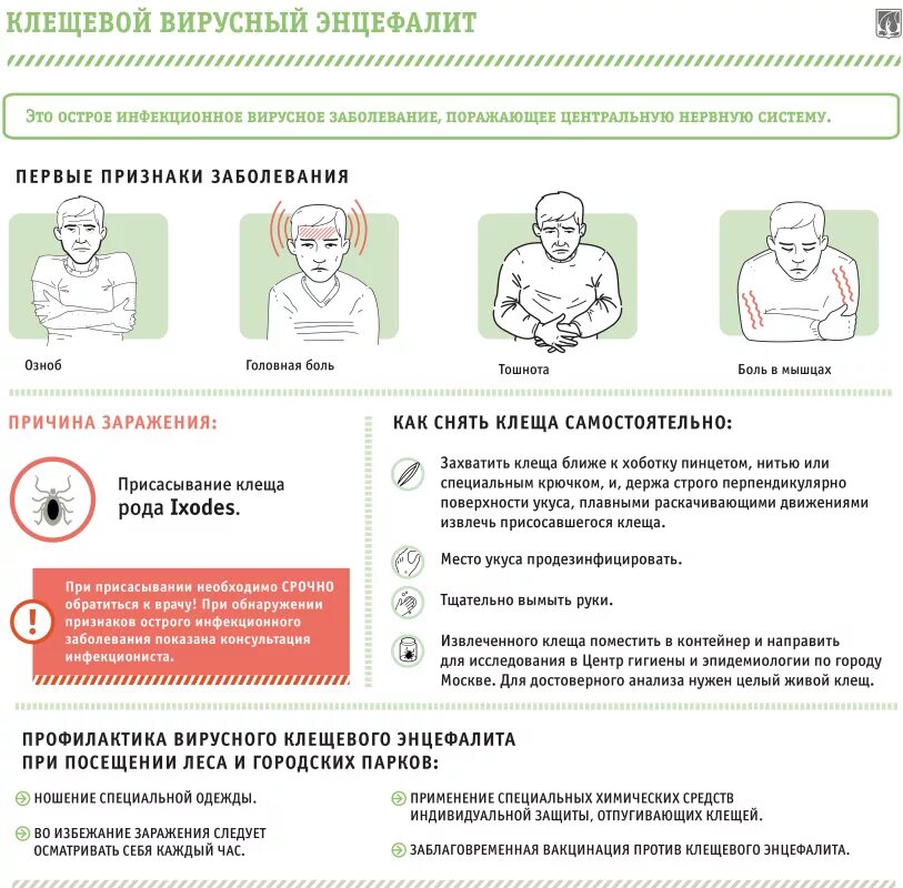 Вирусный клещевой энцефалит клинические симптомы. Основные клинические симптомы клещевого энцефалита. Клещевой энцефалит имеет следующие клинические проявления:. Клещевой энцефалит клинические проявления заболевания. Признаки энцефалита после