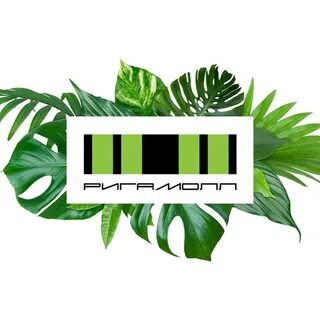 волнорез пирс в севастополе. мол. мол (насип). южный мол балтийск. мол тг.