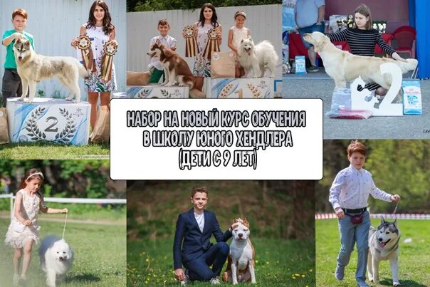 Выставка собак 14 апреля 2025