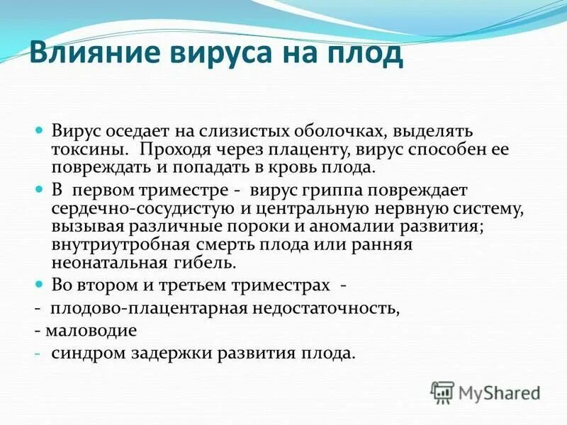 Как влияет вирусы. Неопасные вирусы компьютера. Как влияет вирусы. Воздействие вирусов на организм. Влияние вирусов на организм.