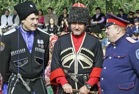 Реестровые казаки это