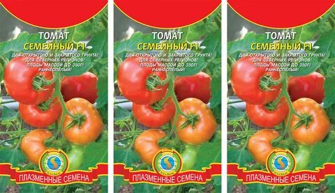 Томат семейный
