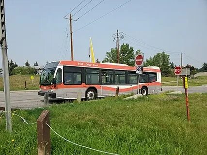 Trap bus