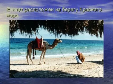 Реклама тура в египет презентация