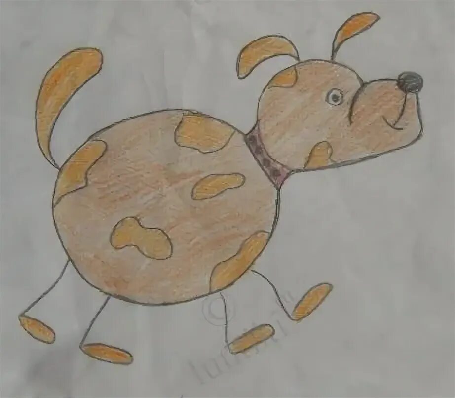 Нарисуй своих любимых животных