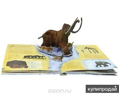 Период книга