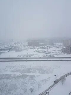 Снежная 6