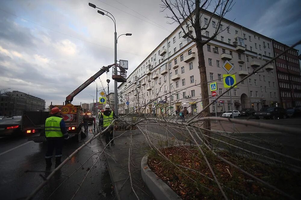 Гиб москва. Ураган в Москве (2017). Ураган в Москве 1998. Ураган в Москве. Ураган в Москве сегодня.