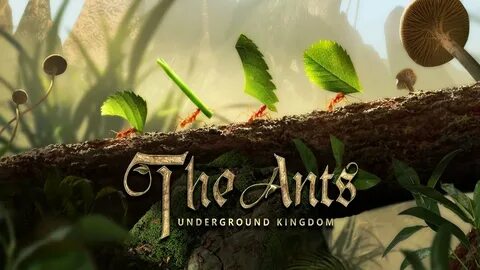 The ants underground kingdom