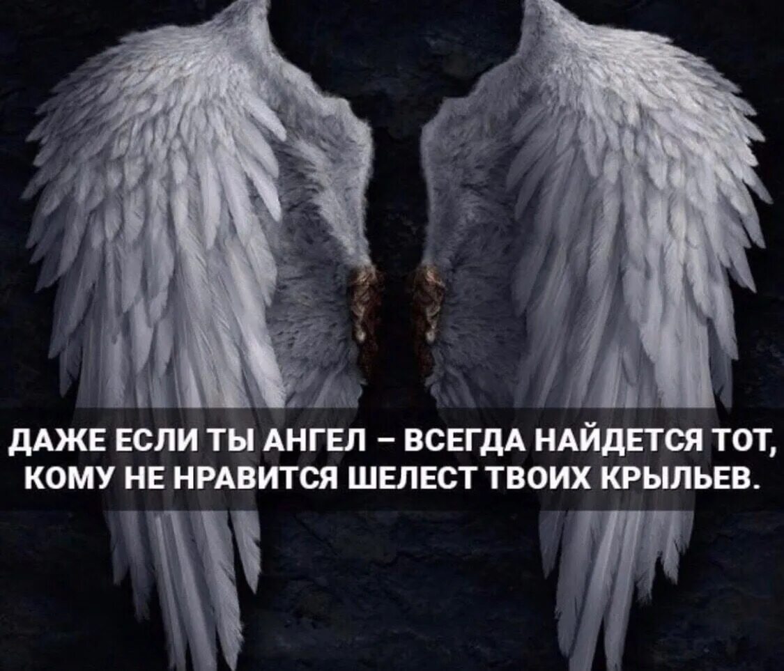 Не ангел но стану святой. Фразы про Крылья. Цитаты про Крылья. Высказывания про Крылья за спиной. Крылья ангела цитаты.