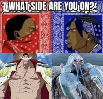 The One Piece Is Real vs. Blue Lobster The One Piece Is Real.