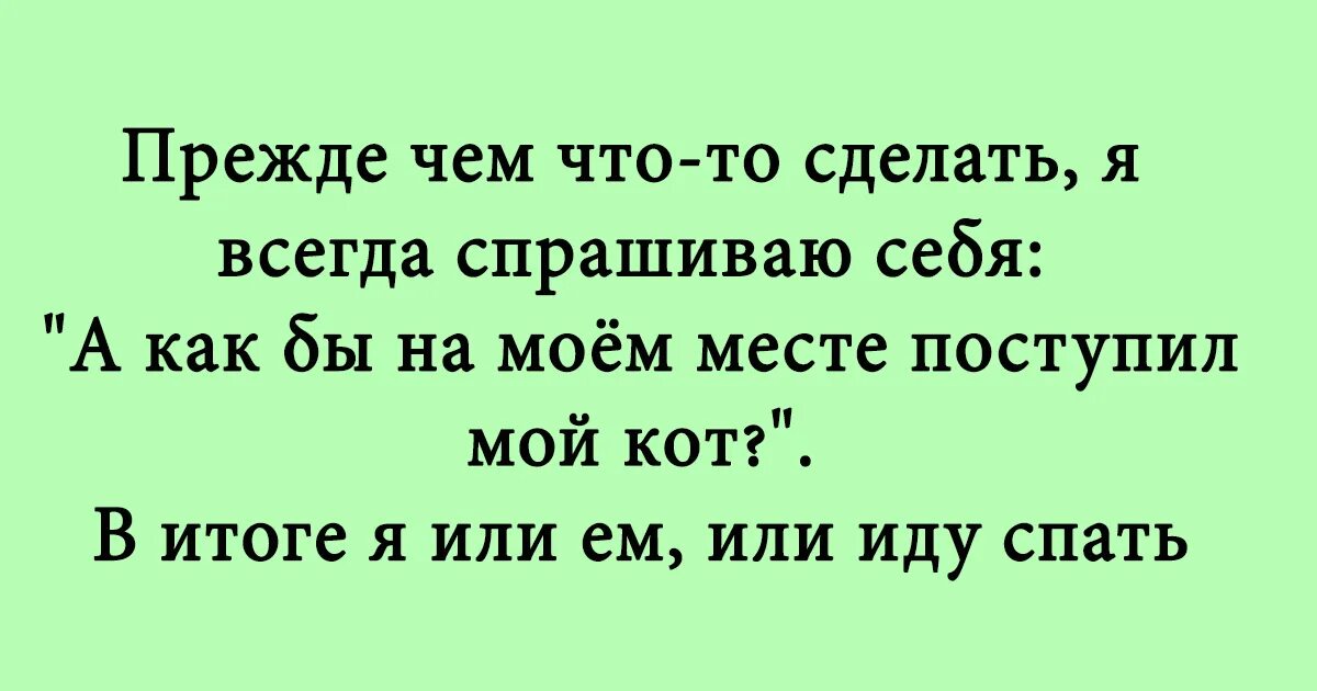 Анекдот купец в чем прикол. Смешные анекдоты. Юмор приколы и шутки. Анекдоты свежие смешные. Прикольные анекдоты смешные.