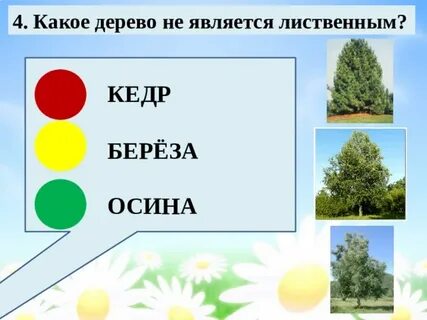 Какие деревья называются лиственными 1 класс