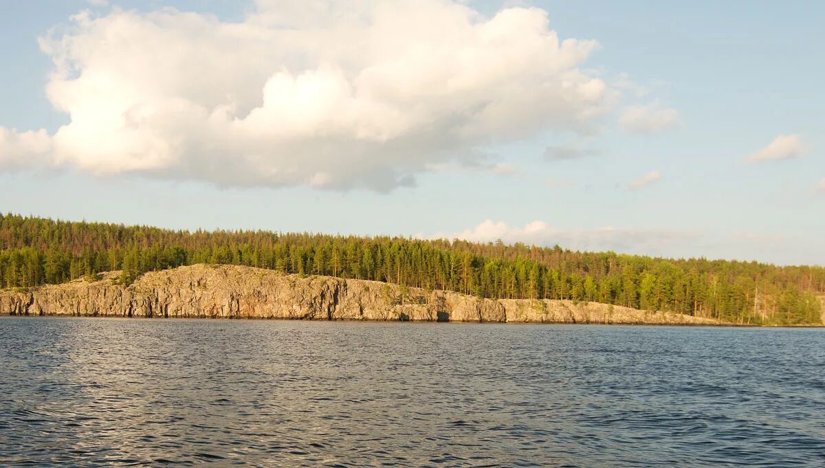 Остров Уницкая губа. Остров Олений Лижемская губа. Лижемское озеро.