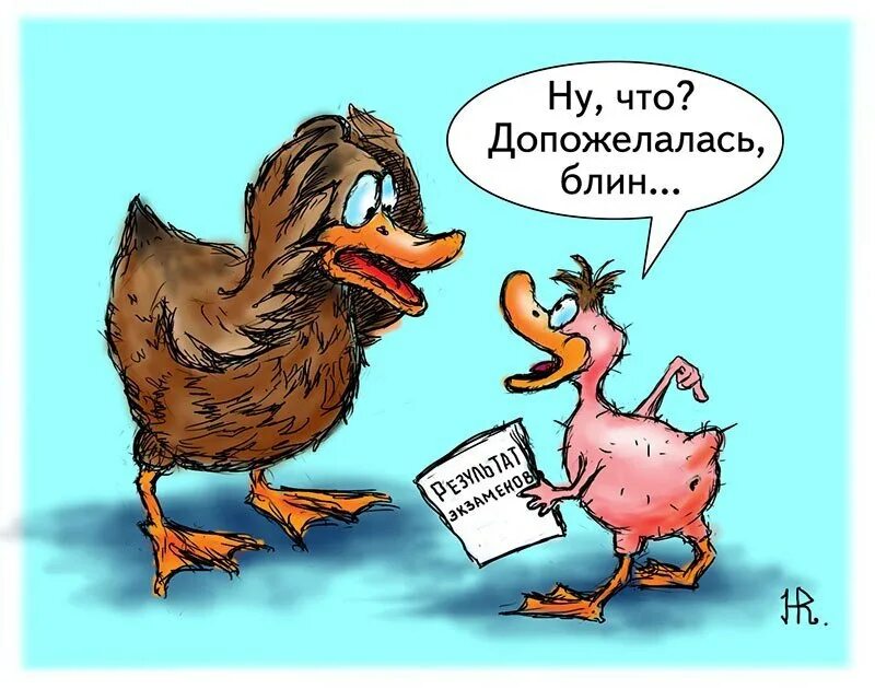 Почему говорят ни пуха к черту. Ни пуха ни пера. пожелания ни пуха ни пера. ни пуха ни пера прикол. открытки ни пуха ни пера прикольные.