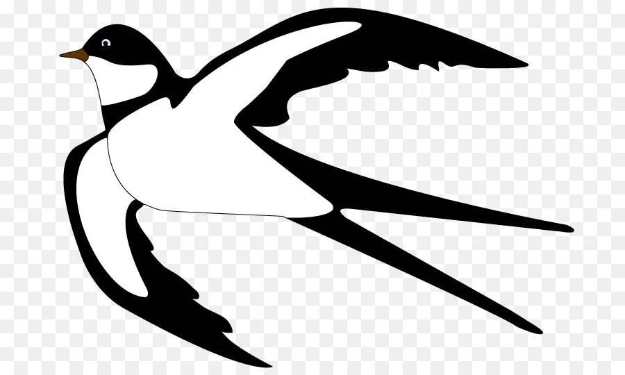 ласточка раскраска для детей. птицы копировать. каллиграфия птицы. перелетные птицы раскраска для детей. ласточка раскраска для детей.