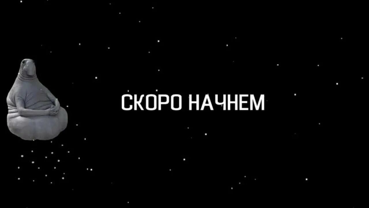 Ждем стрим. Скоро начнем. Стрим скоро начнется. Скоро начало. Скоро начнём для стрима.