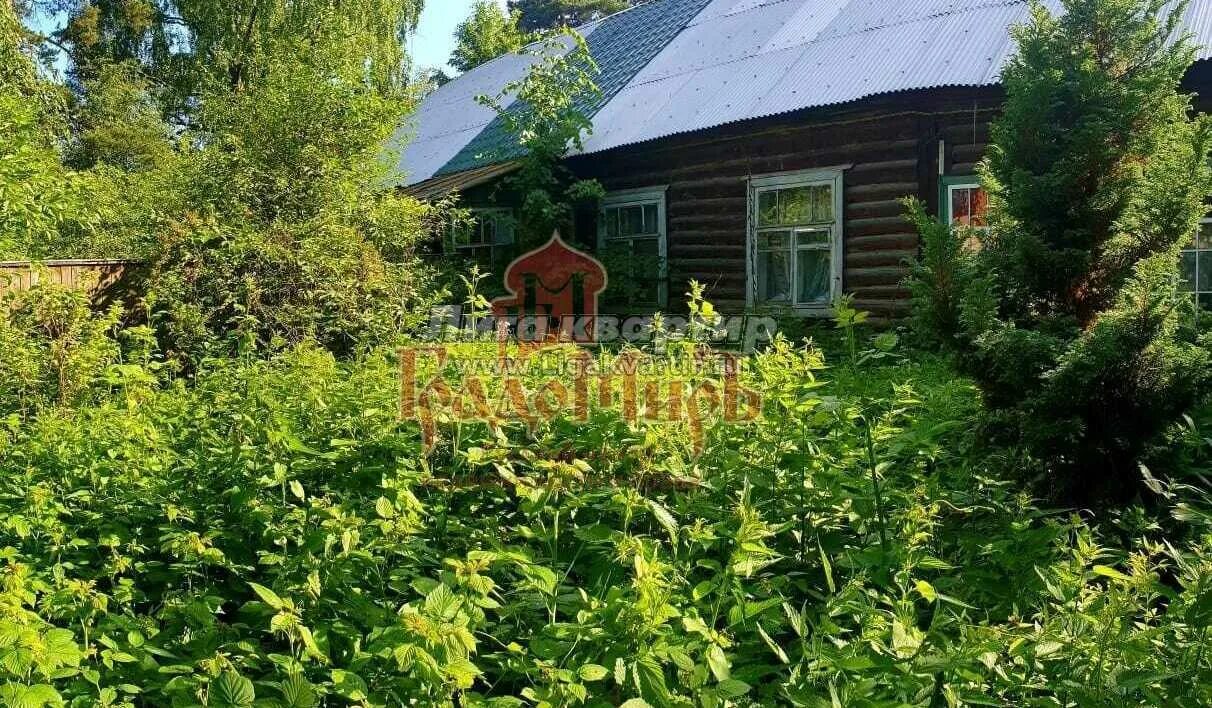 Микрорайон мамонтовка пушкино. Пушкино микрорайон мамонтовка улица ленточка дом 10. 5 пушкино мамонтовка. Мамонтовка пушкинский московская область. Мамонтовка сосновка.
