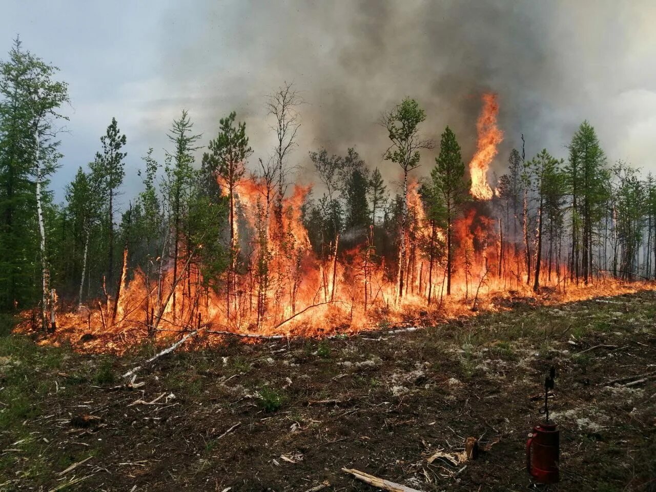 Пожары в Якутии 2021. Лесные пожары Якутск. Якутия пожар лес. Лесные пожары в тайге.
