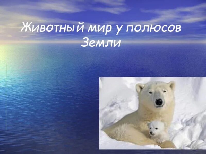 У полюсов земли есть царства вечной. Обитатели холодных районов земли. животный мир холодных районов окружающий мир. трутся спиной медведи о земную ось. у полюсов земли есть царства вечной зимы снегов.