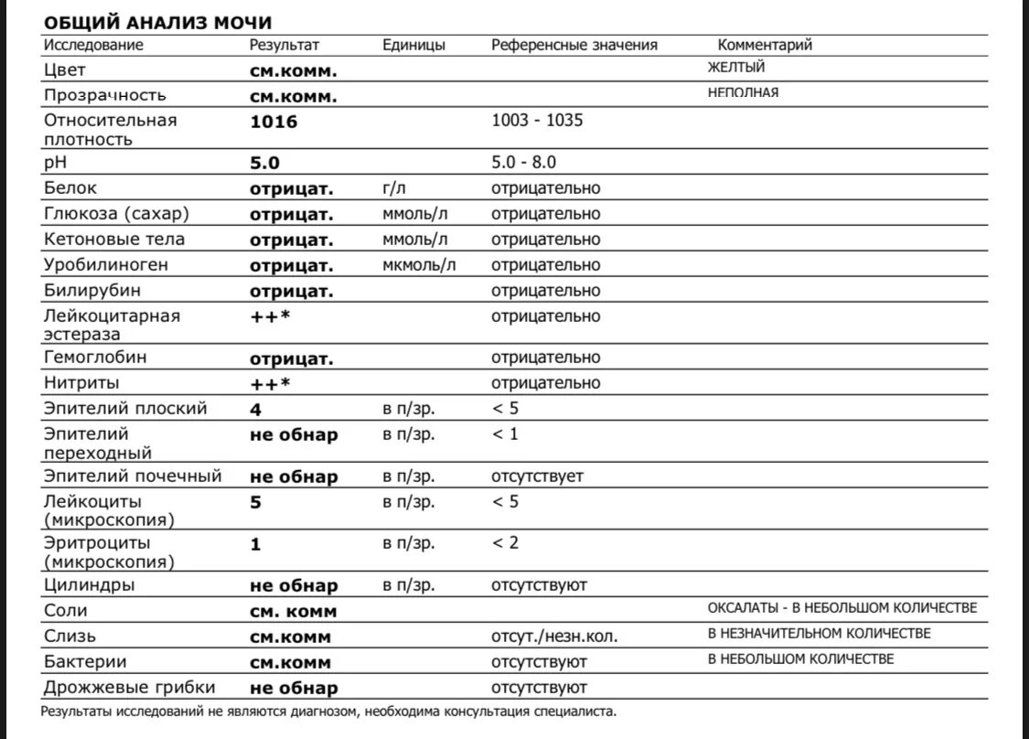 Что значит в поле зрения в анализе