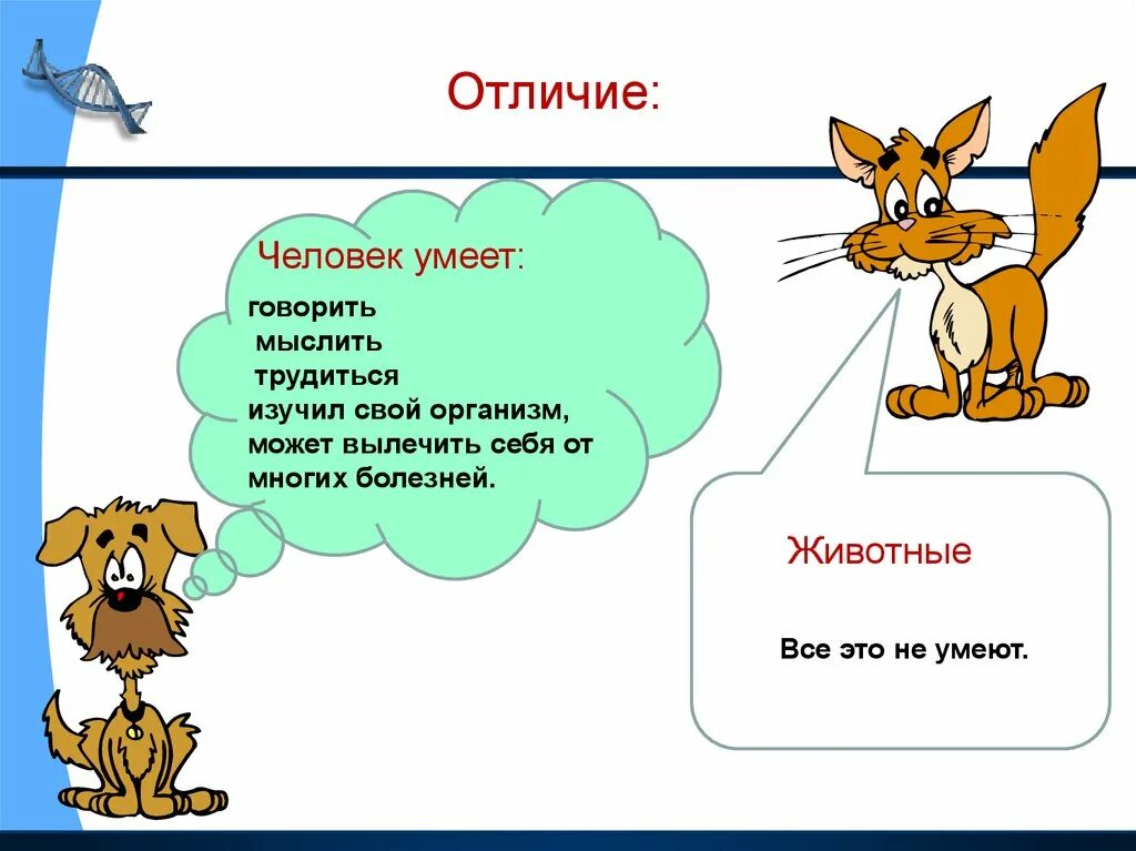 Отличаются вдвое. Чем человек отличается от животных. Чем отличается животное от человека. Человек живой организм. Человек часть живой природы.