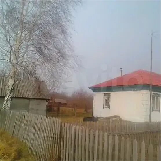 Погода в алтайском селе сычевка. Погода в алтайском селе сычевка. Погода в алтайском селе сычевка. Погода в алтайском селе сычевка. Сычёвка алтайский край.