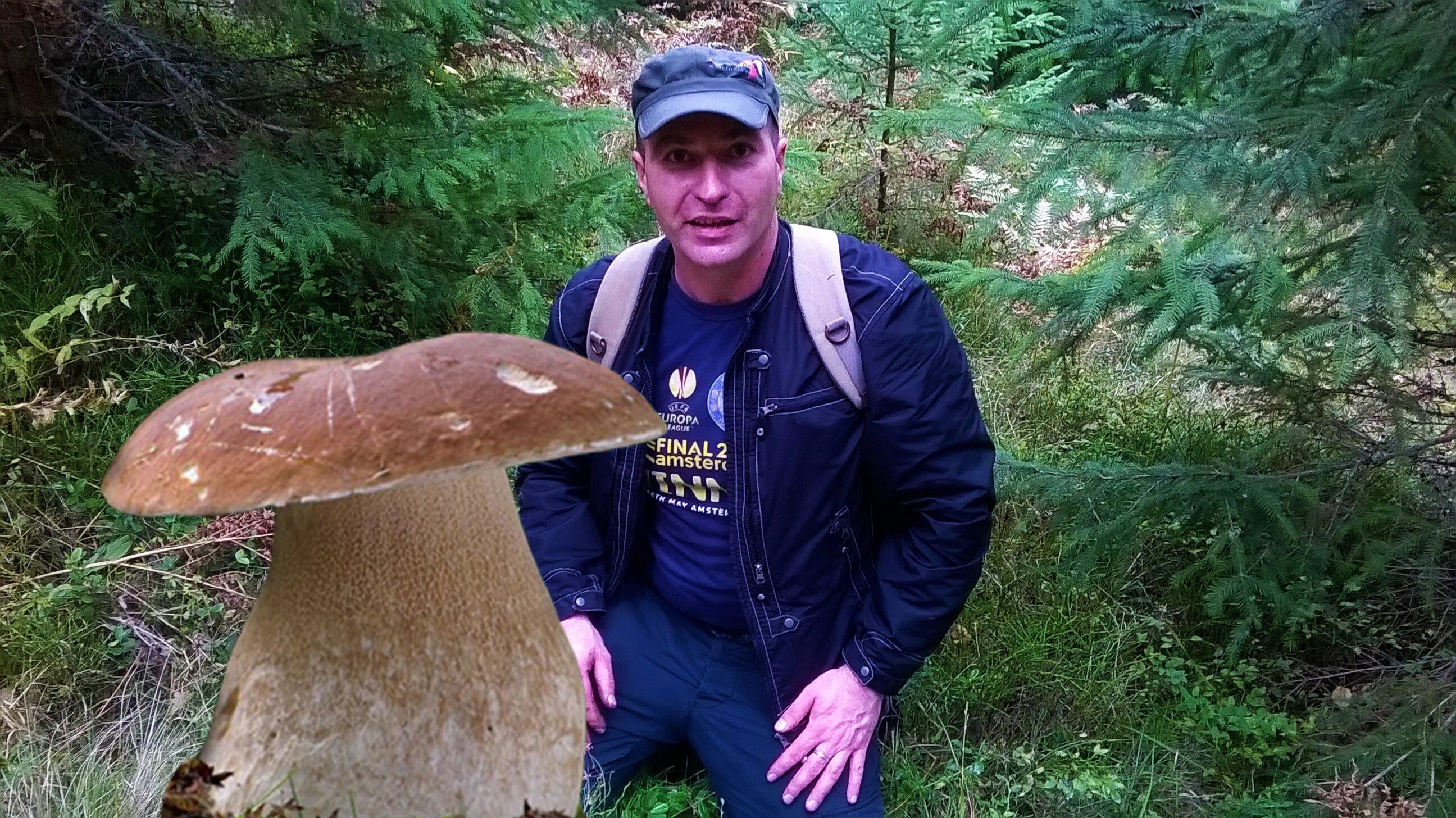 Самый большой гриб в мире Орегон. Гриб Боровик большой. Самый большой гриб Боровик. Гигантский белый гриб.