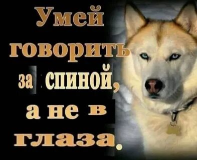 Люди говорящие за спиной глаза