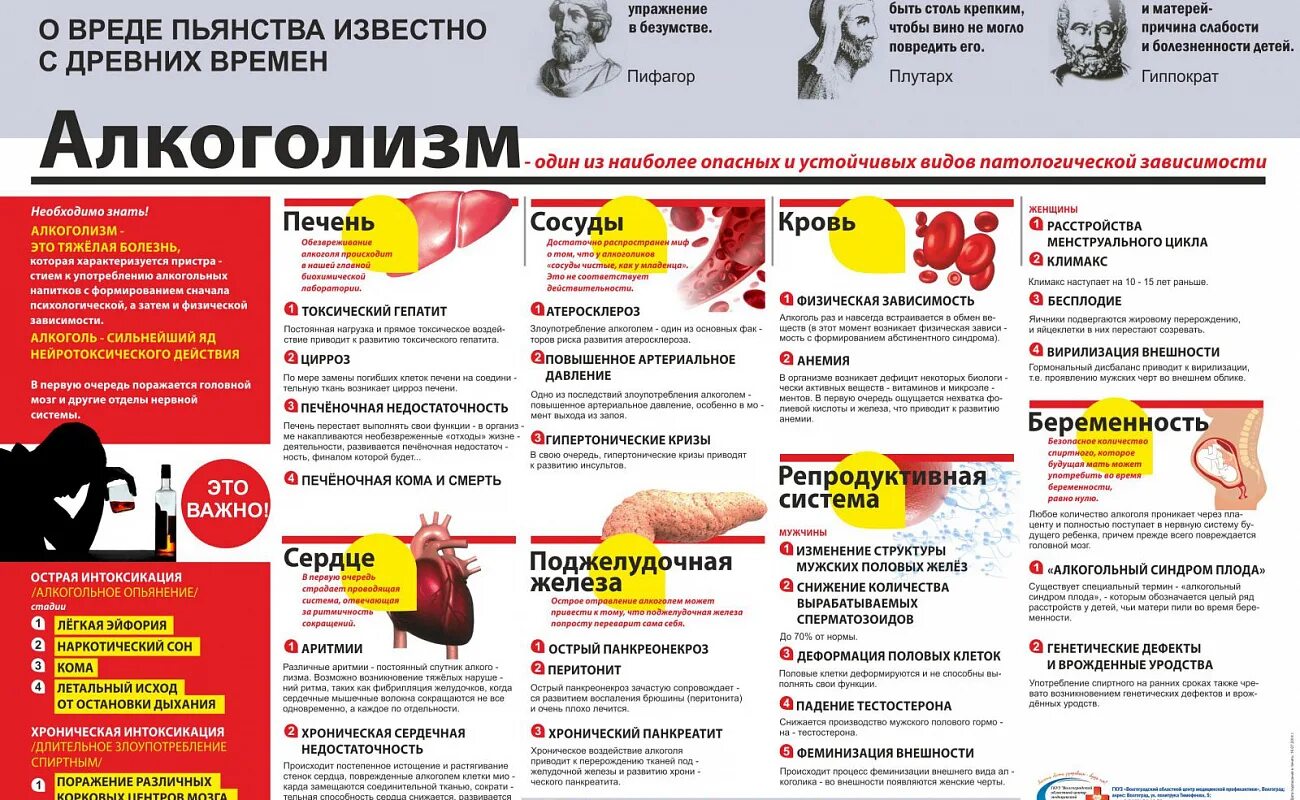 Профилактика алкогольной и наркотической зависимости. Профилактика алкоголизма. Памятка по профилактике алкоголизма.