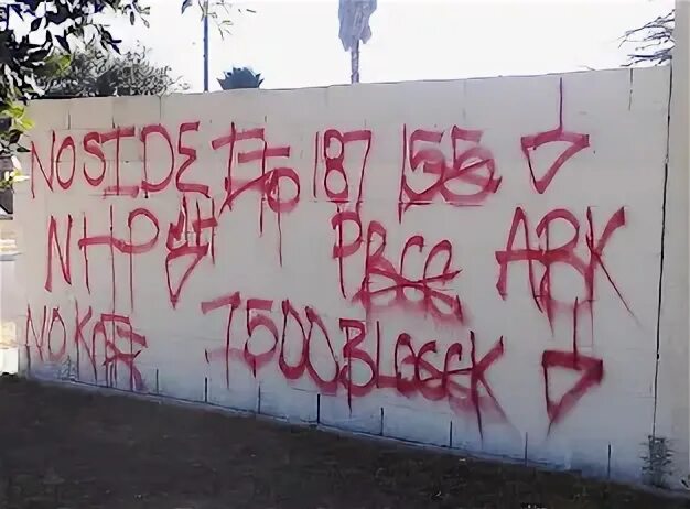 Taca piru na minha перевод