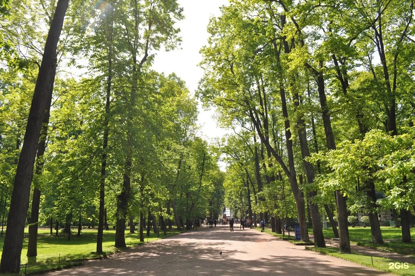 Каталог аллеи нижний новгород. Петергоф Нижний парк аллеи. Нижний парк Липовая аллея. Малибанская аллея в Петергофе. Парк Пушкина Нижний Новгород.