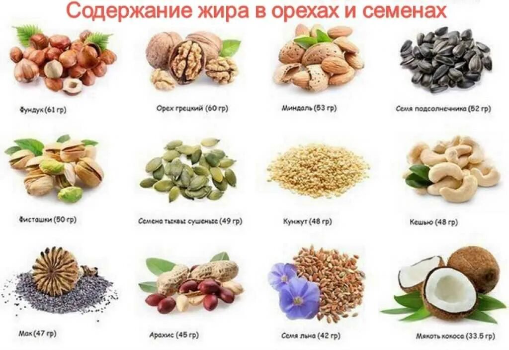 Сколько белка содержится в семечках