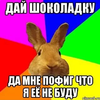 Мам дай шоколадку