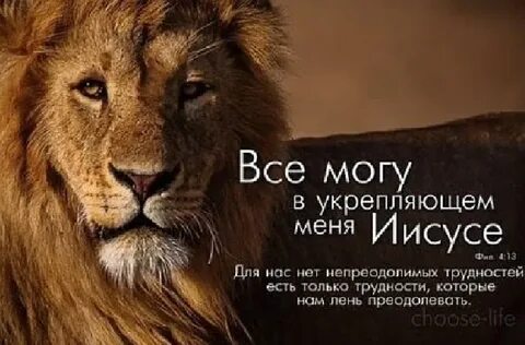 Даты жизни льва